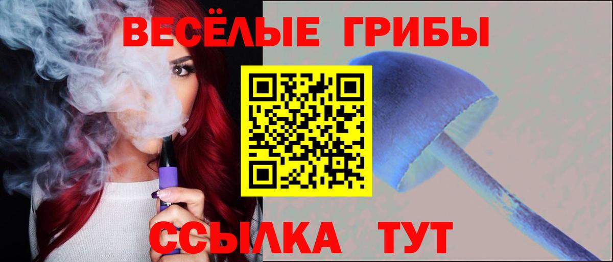 Псилоцибиновые грибы MAGIC MUSHROOMS  Вход с VPN  Копейск  Галлюциногенные грибы мицелий 